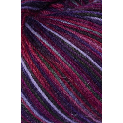 Alpaka Sockengarn MULTICOLOUR | 50g