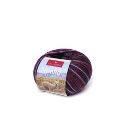 Alpaka Sockengarn MULTICOLOUR | 50g