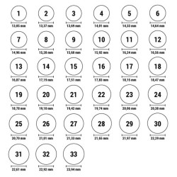 Damenring Folli Follie 3R2T016RFC-54 (14)