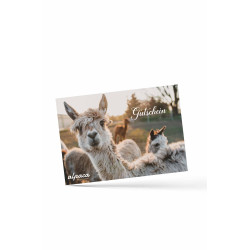 Geschenkgutschein 200.-