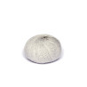 Baby Alpaka Wolle PURE | 50g