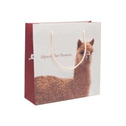 Papiertragtasche APU KUNTUR - Offer